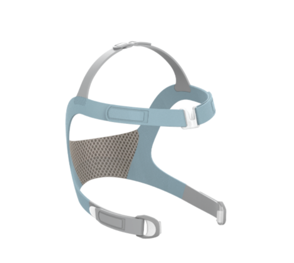 Couvre-chef : Vitera