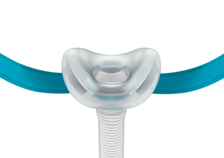 Evora